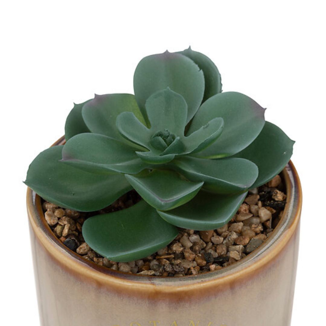 Planta artificiala vintage